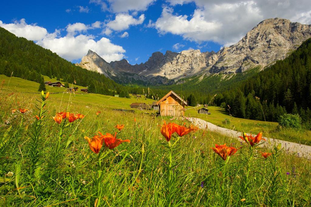 Relais San Giusto Hotel Campitello di Fassa Kültér fotó